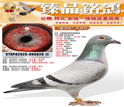 �������ǡ�ȫ�ֵ�ֱŮ �����������˹��ֱ��Ů �����鴦������