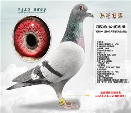 �ƽ�����Ӵ�