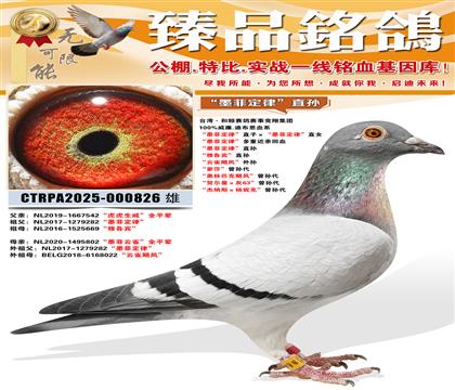 ��ī�ƶ��ɡ�ֱ�ӡ���ī�ƶ��ɡ�ֱŮ���Ÿ�����ֱ�� ����ȸ쫷�