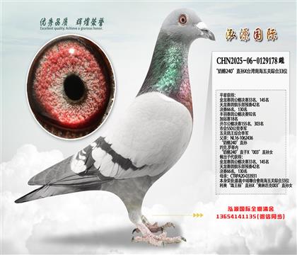 �ƽ�����Ӵ�