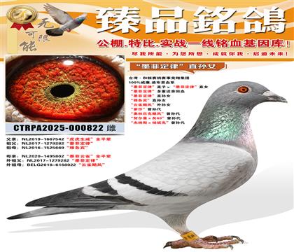 ��ī�ƶ��ɡ�ֱ��Ů ���Ÿ�����ֱ��Ů ����ȸ쫷硱����Ů ��