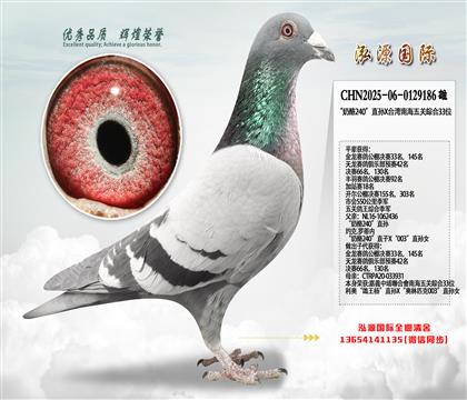 �ƽ�����Ӵ�