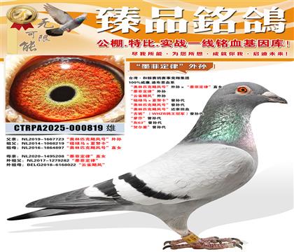 ��ī�ƶ��ɡ����� ����ȸ쫷硱���� ����»������Ŭ���������