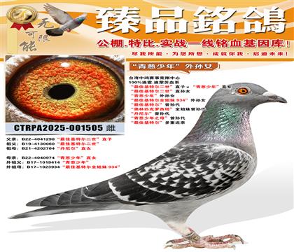 ����ѻ��ض�������ֱ��Ů ��������ꡱ����Ů ����ѻ��ض�ȫ