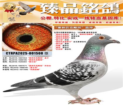 ������ƥ��쫷硱ֱ�� ����ʿ�������� ������ƥ����Ŭ����ȫ��