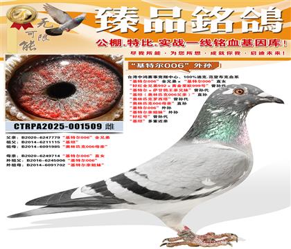 �����ض�006������ �����ض��׽��á����� ���ú�š������