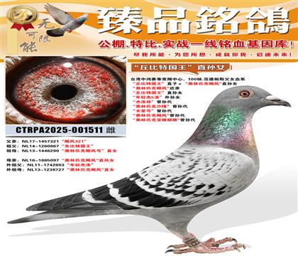 ������ع�����ֱ��Ů �������5�塱����Ů �������֡������