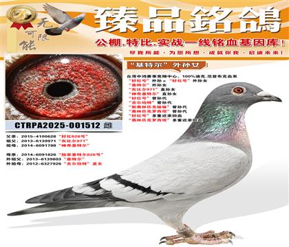 �����ض�������Ů ���ұȶ�971��ֱ��Ů ��������ض���ֱ��