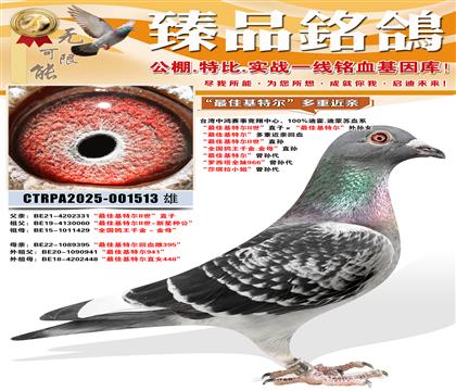 ����ѻ��ض������ؽ��׻�Ѫ ����ѻ��ض�II����ֱ�� ��ȫ��