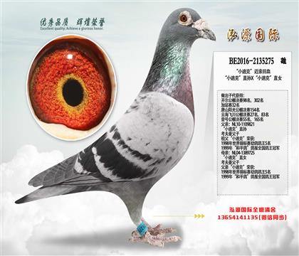 ����ʱ����С�Ͽˡ�ֱ��X��С�Ͽˡ�ֱŮ