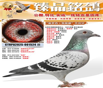 ���°���ƥ�ˡ�ȫ�ֵ�ֱŮ �������������۴ơ�����Ů �����߶�