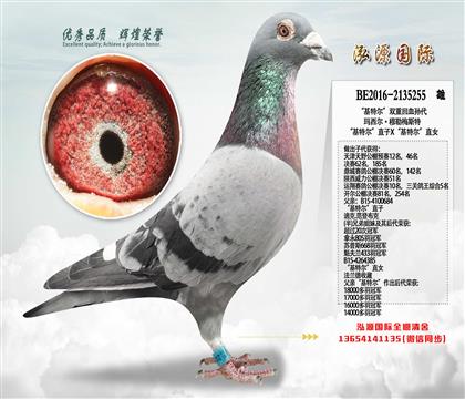 ����ʱ�������ض���ֱ��X�����ض���ֱŮ