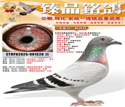 ������غ�(ľ�Ǻ�)��ֱ��Ů ���ޱ���ֱ��Ů �����������ˡ�