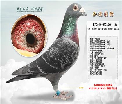 ����ʱ�����Ͽ�����¡�ֱ��X���Ͽ�����¡�ֱ��Ů