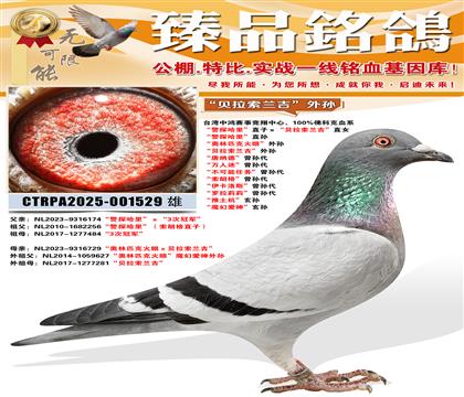 ������ƥ�˻��ۡ����� ������������������ �����ɵ¡������