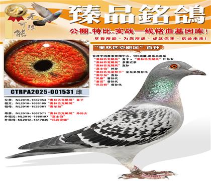 ������ƥ��쫷硱ֱ�� ����ʿ�������� ������ƥ����Ŭ����ȫ��