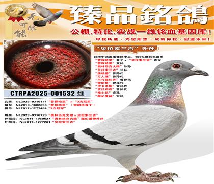 ������ƥ�˻��ۡ����� ������������������ �����ɵ¡������