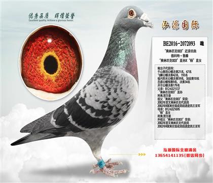 ����ʱ��������ƥ��003��ֱ��X���ֱŮ