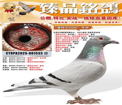 �����ض�006������ �����ض��׽��á����� ���ú�š������