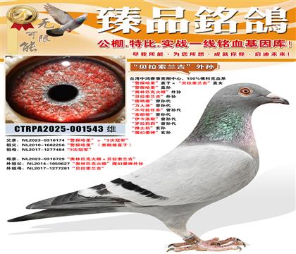 ������ƥ�˻��ۡ����� ������������������ �����ɵ¡������