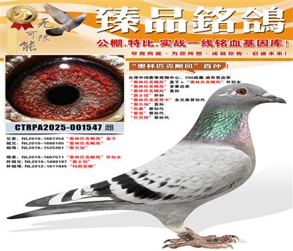 ������ƥ��쫷硱ֱ�� ����ʿ�������� ������ƥ����Ŭ����ȫ��