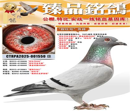 ���ú�š����� ������ƥ�������������� ���ƽ�Ů�ɡ������