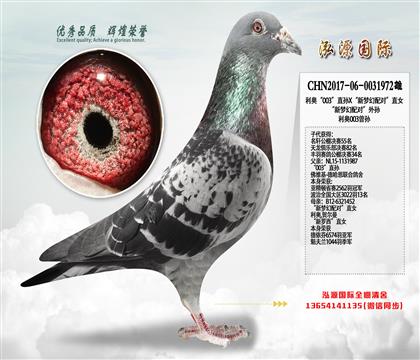 ���¡�003��ֱ��X�����λ���ԡ�ֱŮ