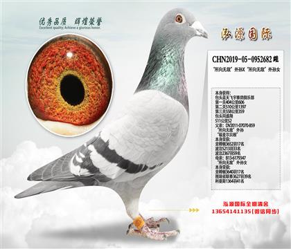 500����52 �������޵С�����X�������޵С�����Ů