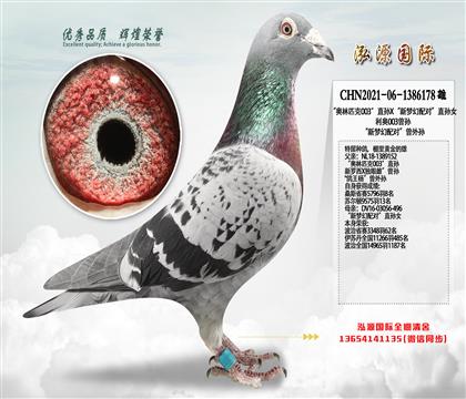 ������ƥ��003��ֱ��X�����λ���ԡ�ֱ��Ů