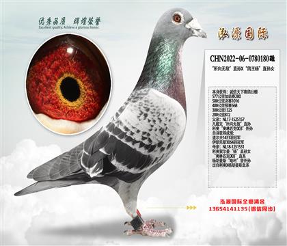 �������޵С�ֱ��X�������ֱ��Ů