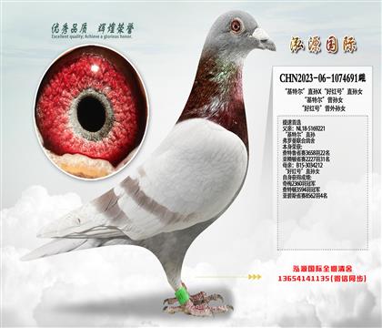 �����ض���ֱ��X���ú�š�ֱ��Ů