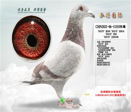 ���ú�š�ֱ��X���ú�š�ֱ��Ů