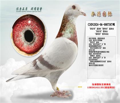 ���ú�š�ֱ��X�����ض���ֱ��Ů