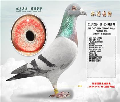 ���ҡ�240������X������240������Ů