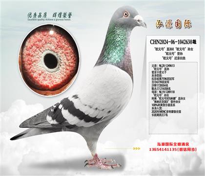 ��ŷԪ�š�ֱ��X��ŷԪ�š���Ů