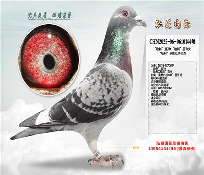 ��������ֱ��X������������Ů