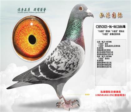 ��С�Ͽˡ�����X��С�Ͽˡ�����Ů