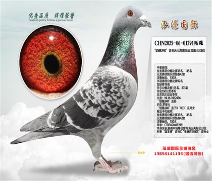 �ƽ�����Ӵ�