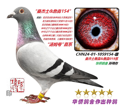 8��--ɣ��ʿXղɭ-1059154-��-ɰ��-��