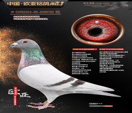 ��Ǳ�129X951˫�ؽ��׹�������