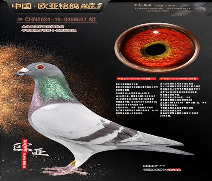 ��Ǳ�129X951˫�ؽ��׹�������