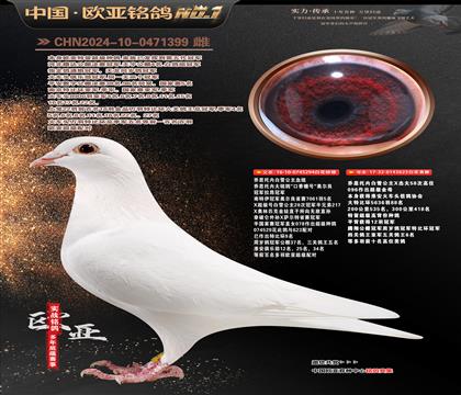 ��˼���ڰ�ѩ����ԭ��294X623