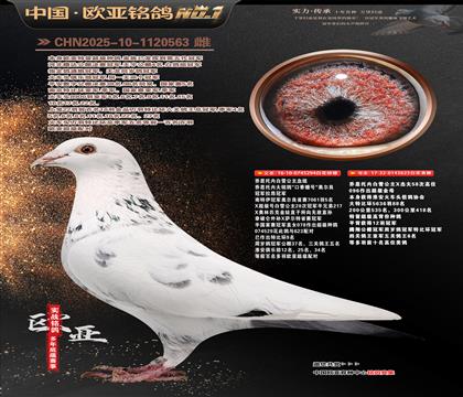 ��˼���ڰ�ѩ����ԭ��294X623