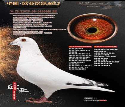 ��˼���ڰ�ѩ����ԭ��294X623