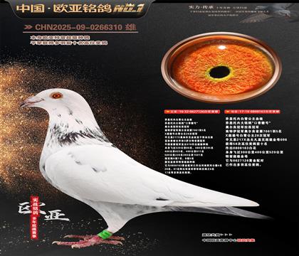 ��˼���ڰ�ѩ����ԭ��126X163