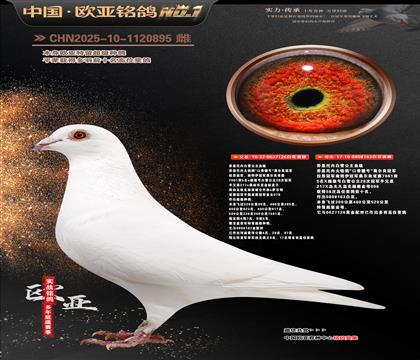 ��˼���ڰ�ѩ����ԭ��126X163