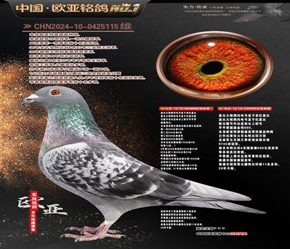 ��ǱȽ���888X��ǱȽ���999��������