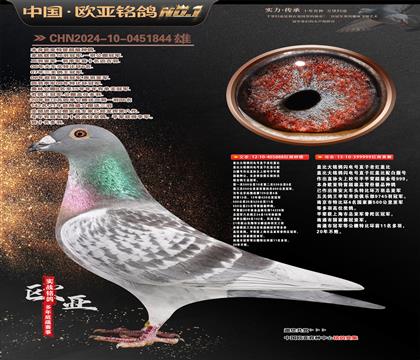 ��ǱȽ���888X��ǱȽ���999��������