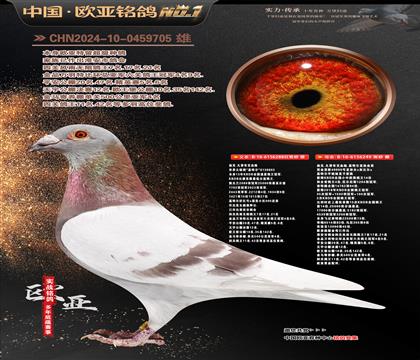 �Ͽ˷��ǲ���ԭ��288X249