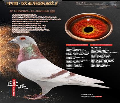 �Ͽ˷��ǲ���ԭ��387X401���ض�